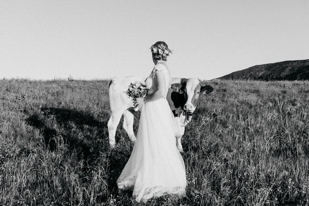 Braut mit Kuh auf einer Wiese bei ihrer Berghochzeit