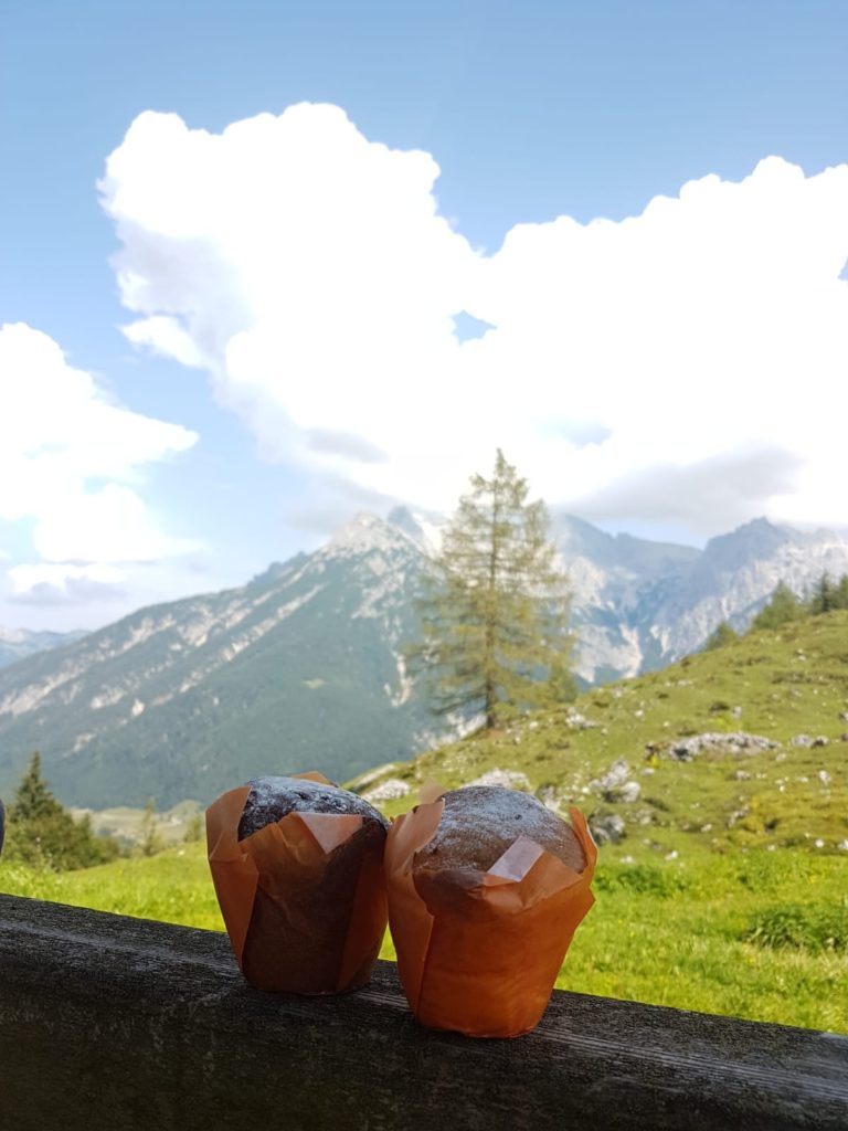 Muffins stehend auf einem Almgeländer mit Bergblick